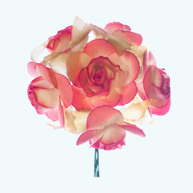 3" Diameter Paper Flower 6X12 | Coral 3" Diameter Paper Flower 6X12 | Coral